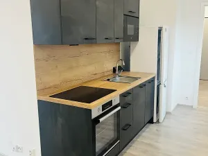 Pronájem bytu 1+kk, Lovosice, Zámecká, 60 m2