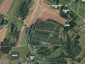Prodej lesa, Strmilov, 1644 m2