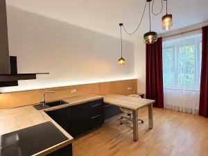 Pronájem bytu 2+kk, Praha - Žižkov, Baranova, 58 m2