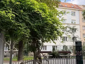 Pronájem bytu 2+kk, Praha - Žižkov, Baranova, 58 m2