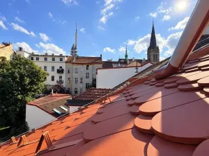 Prodej bytu 3+kk, Praha - Žižkov, Milíčova, 65 m2