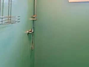 Pronájem ubytování, Pavlínov, 310 m2