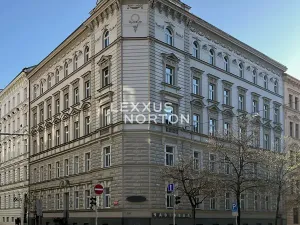 Prodej bytu 2+kk, Praha - Nové Město, Wenzigova, 62 m2