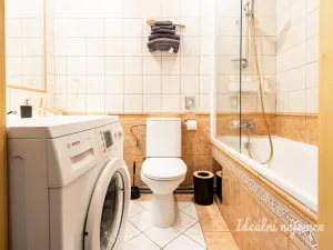 Pronájem bytu 1+kk, Praha - Nusle, Slavojova, 26 m2