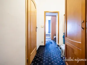 Pronájem bytu 1+kk, Praha - Nusle, Slavojova, 26 m2