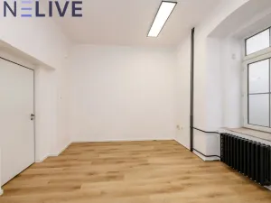 Pronájem kanceláře, Plzeň, Tylova, 17 m2
