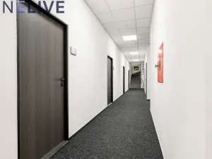 Pronájem kanceláře, Plzeň, Tylova, 17 m2