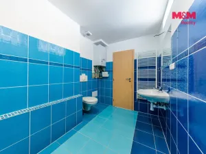 Prodej bytu 2+kk, Plzeň - Jižní Předměstí, Klatovská třída, 66 m2