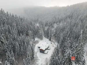 Prodej rodinného domu, Strážné, 650 m2