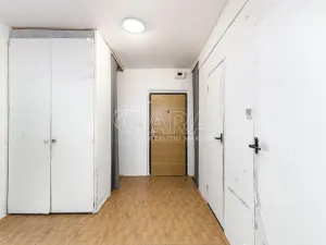 Prodej bytu 3+1, Ostrava - Bělský Les, Bohumíra Četyny, 69 m2