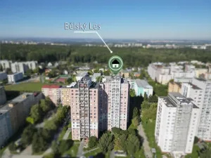 Prodej bytu 3+1, Ostrava - Bělský Les, Bohumíra Četyny, 64 m2