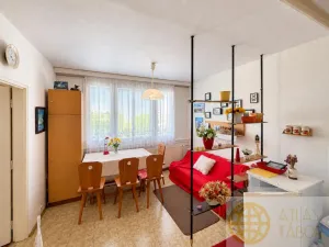 Prodej bytu 1+1, České Budějovice - České Budějovice 2, Emy Destinové, 31 m2
