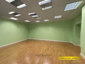 Prodej činžovního domu, Olomouc, Riegrova, 824 m2