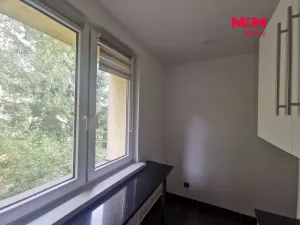 Prodej bytu 2+1, Orlová - Lutyně, Vojtěcha Martínka, 53 m2