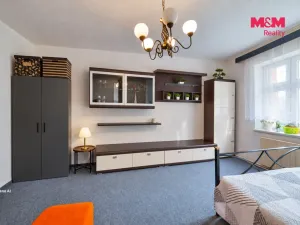 Pronájem bytu 2+kk, Planá, Revoluční, 40 m2