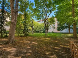 Pronájem bytu 2+1, Praha - Žižkov, Viklefova, 60 m2