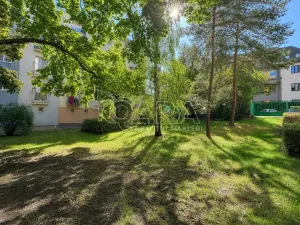 Pronájem bytu 2+1, Praha - Žižkov, Viklefova, 60 m2