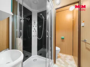 Pronájem bytu 1+1, Ústí nad Labem, Peškova, 38 m2