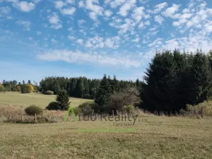 Prodej pozemku, Přední Výtoň, 13285 m2