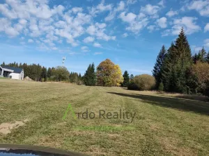 Prodej pozemku, Přední Výtoň, 13285 m2