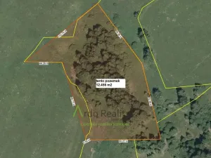 Prodej pozemku, Přední Výtoň, 13285 m2