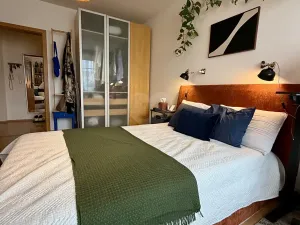Pronájem bytu 2+kk, Praha - Vinohrady, Velehradská, 48 m2