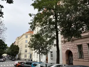 Pronájem bytu 2+kk, Praha - Vinohrady, Velehradská, 48 m2