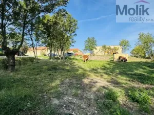 Prodej pozemku pro bydlení, Lipno - Lipenec, 852 m2