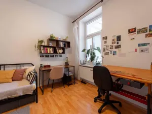 Pronájem bytu 1+1, Olomouc, Palackého, 35 m2
