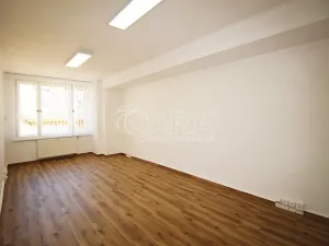 Pronájem kanceláře, Praha - Nové Město, Vodičkova, 51 m2