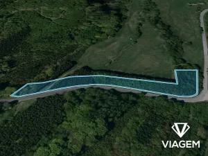 Prodej podílu lesa, Bojkovice, 3337 m2