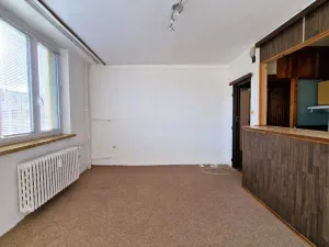 Pronájem bytu 4+kk, Litoměřice - Předměstí, Družstevní, 62 m2