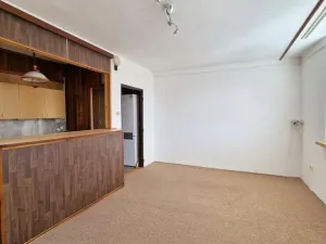 Pronájem bytu 4+kk, Litoměřice - Předměstí, Družstevní, 62 m2