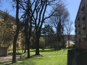 Pronájem bytu 2+1, Olomouc, U kovárny, 53 m2