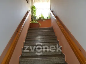 Prodej restaurace, Huslenky, 500 m2