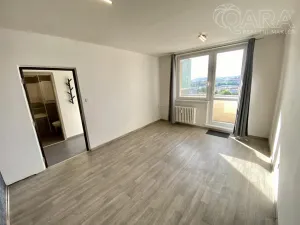 Pronájem bytu 1+1, Brno - Židenice, Svatoplukova, 33 m2