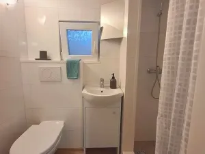 Prodej bytu 2+1, Brno, Rokycanova, 62 m2