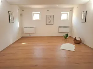 Prodej obchodního prostoru, Brno, Rokycanova, 62 m2