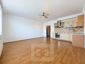 Pronájem bytu 1+kk, Brno, Hrázka, 39 m2