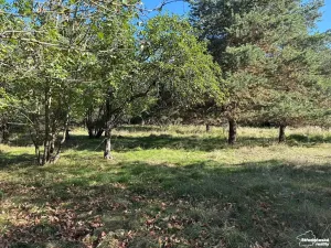 Prodej pozemku pro bydlení, Krhanice, 3530 m2