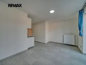Pronájem bytu 1+kk, Velký Osek, Revoluční, 22 m2