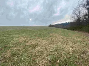 Dražba louky, Mírová pod Kozákovem, 14714 m2