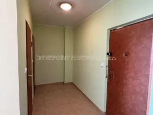 Prodej bytu 1+1, Přerov, U Tenisu, 40 m2