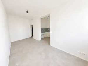 Pronájem bytu 1+kk, Brno, Cejl, 30 m2