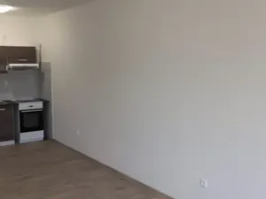 Pronájem bytu 1+kk, Mostkovice, 38 m2