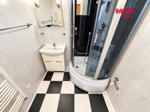 Pronájem bytu 2+1, Karviná - Ráj, Prameny, 60 m2