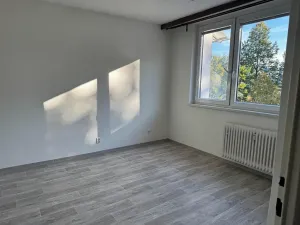 Pronájem bytu 1+1, Jihlava, Březinova, 32 m2