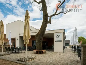 Prodej vícegeneračního domu, Podivín, 450 m2