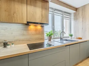 Prodej bytu 2+kk, Praha - Letňany, Dudkova, 50 m2