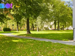 Prodej bytu 3+1, Hlučín, Jarní, 71 m2